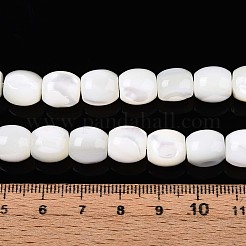 天然トロチッドシェル/トロカスシェルビーズ連売り  バレル  乳白色  9~10x8.5~10mm  穴：1mm  約40個/連  15.75インチ（40cm）&nbsp;SSHEL-N040-09