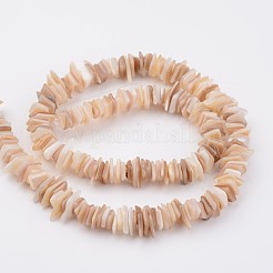 天然石シェルビーズ連売り  長方形  バリーウッド  5~17x5~7x1~4mm  穴：1mm  約200個/連  15.7インチ&nbsp;BSHE-P021-14