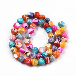 Natural Trochid Shell/Trochus Shell Beads Strands&nbsp;SSHEL-N032-56