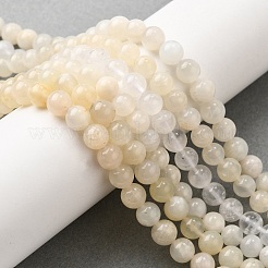 Natural White Moonstone Beads Strands&nbsp;LS-G-P342-02A-6mm-AB-01