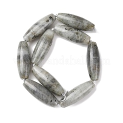 天然石ラブラドライトビーズ連売り  ライス  40.5~41.5x14~14.5mm  穴：1.2mm  約9個/連  15.20''~15.55''（38.6~39.5センチメートル）&nbsp;G-L654-G12-01
