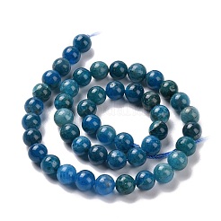 Natural Apatite Beads Strands&nbsp;G-P132-04-8mm