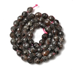 Natural Syenite Beads Strands&nbsp;G-K376-F09-01