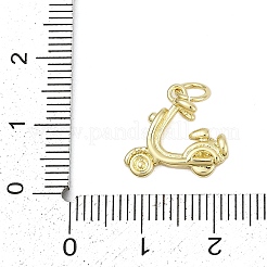 Brass Charms&nbsp;KK-S527-20G