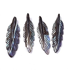 Natural Freshwater Shell Pendants&nbsp;SHEL-R113-15