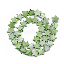 淡水シェルビーズ連売り  染め  スター  ライムグリーン  12x12.5x3mm  穴：1mm  約35個/連  15.55インチ（39.5cm）&nbsp;SHEL-S276-31C