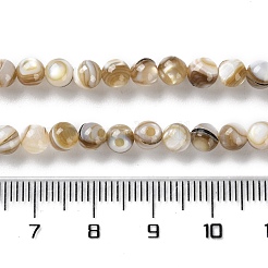 Natural Freshwater Shell Beads Strands&nbsp;SSHEL-B002-15