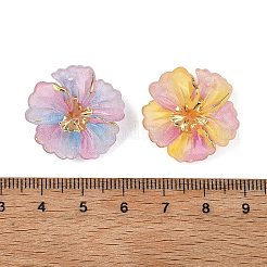 グラデーションカラーの樹脂製グリッターペンダント  花のチャーム  金縁  ミックスカラー  24x24.5x7mm  穴：1mm&nbsp;RESI-C077-02