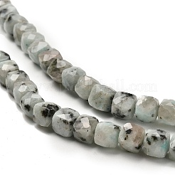 Natural Sesame Jasper Beads Strands&nbsp;G-H078-C24-01