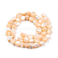Natural Trochid Shell/Trochus Shell Beads Strands&nbsp;SSHEL-N032-49-A07