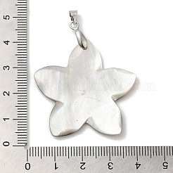 Natural Black Lip Shell Pendants&nbsp;SHEL-M019-03P