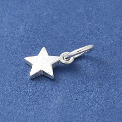 S925 スターリングシルバーペンダント  銀  8.5x6.5x1.5mm&nbsp;STER-H115-03C-S