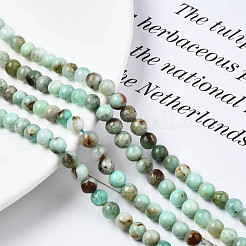 Natural Chrysoprase Beads Strands&nbsp;G-S333-6mm-016