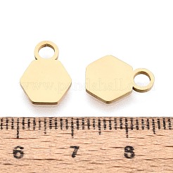 201 Stainless Steel Charms&nbsp;STAS-T070-13G