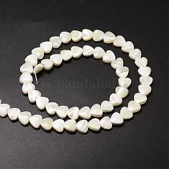 Natural Trochid Shell/Trochus Shell Beads Strands&nbsp;SSHEL-K012-04