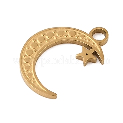 304 Stainless Steel Pendants&nbsp;STAS-P377-02G