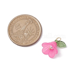 アクリルパーツ  ガラスと真鍮パーツ  花のチャーム  ミックスカラー  11x14x14mm  穴：3x4mm&nbsp;PALLOY-TA00145