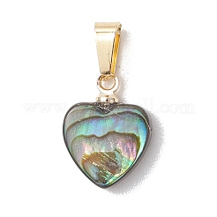 Natural Paua Shell Pendants&nbsp;PALLOY-JF05164