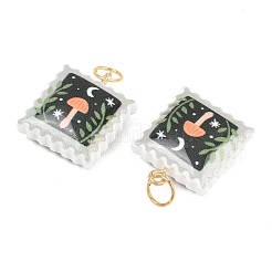 Printed Opaque Acrylic Pendants&nbsp;SACR-P036-01J-G