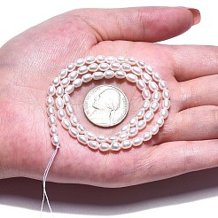 天然養殖淡水パールビーズ連売り  ライス  貝殻色  5~6x3.5~4mm  穴：0.7mm  約71~74個/連  14.72インチ〜15.04インチ（37.4~38.2cm）&nbsp;PEAR-N012-03G
