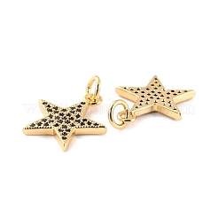 Brass Micro Pave Clear Cubic Zirconia Charms&nbsp;ZIRC-Z018-15G-B