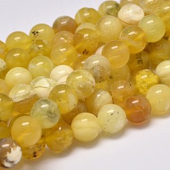 Natural Yellow Opal Round Bead Strands&nbsp;G-M296-02-6mm