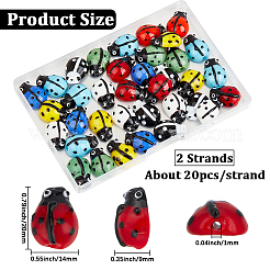 2連売りてんとう虫の手作りランプワークビーズ連売り  ミックスカラー  20x14x9mm  穴：1mm  約20個/連  15.3インチ&nbsp;LAMP-PA0001-65