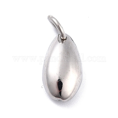 304 Stainless Steel Pendants&nbsp;STAS-I190-24B-P-1