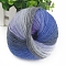Gradient Color Wool Thread, Section Dyed Icelandic Wool Thread, Soft and Warm, for Hand-woven Shawl Scarf Hat, Colorful, 2mm