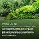 Round Weed Eater String&nbsp;NWIR-WH0009-18-7