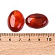 Natural Carnelian Cabochons&nbsp;G-D860-A22-4