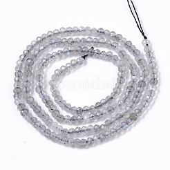 天然石ラブラドライトビーズ連売り  ロンデル  多面カット  3x2mm  穴：0.7mm  約190個/連  15.75インチ（40cm）&nbsp;G-R462-019