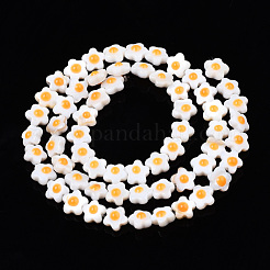 Natural White Shell Beads Strands&nbsp;SHEL-N003-30