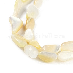 天然ニシキウズガイシェルビーズ連売り  ナゲット  レモンシフォン  8~13x4~6.5x2.5~4.5mm  穴：0.6mm  約35~37個/連  14.96~15.04''（38~38.2センチメートル）&nbsp;BSHE-H109-05