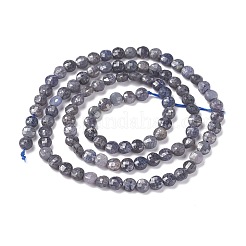 Natural Sapphire Beads Strands&nbsp;G-R460-016