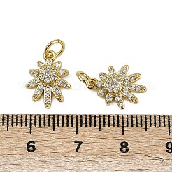 Brass Micro Pave Cubic Zirconia Pendants&nbsp;KK-I358-043G