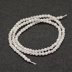 天然レインボー ムーンストーン ビーズ 連売り  多面カット  ラウンド  3mm  穴：0.5~0.6mm  約144~151個/連  15.3~15.7インチ（39~40cm）&nbsp;G-F460-44