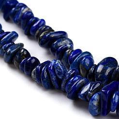 天然石ラピスラズリビーズ連売り  グレードA  チップ  藤紫色  3~5x7~13x2~4mm  穴：0.4mm  80~81cm&nbsp;G-F328-15-A