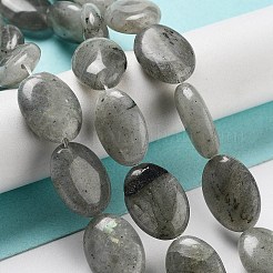 天然石ラブラドライトビーズ連売り  フラットオーバル  18~18.5x13~13.5x6~6.5mm  穴：1.2mm  約11個/連  7.76インチ（19.7cm）&nbsp;G-P528-M10-01