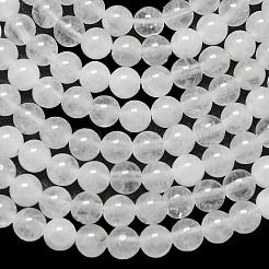 Natural Malaysia Jade Beads Strands&nbsp;G-L645-B01-6mm-01