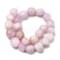 Natural Kunzite Beads Strands&nbsp;G-P601-A14-03