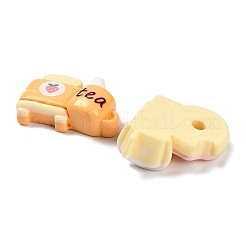 オペーク樹脂カボション  模造食品  混合図形  ミックスカラー  14~16.5x19~21x7~8mm&nbsp;RESI-I068-09