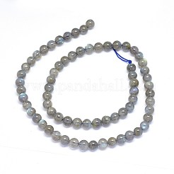 Natural Labradorite Beads Strands&nbsp;G-F602-04-6mm