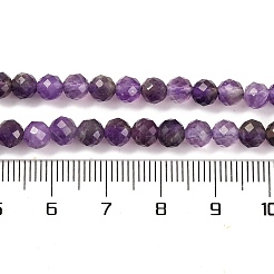 Natural Amethyst Beads Strands&nbsp;G-F770-C07-02AB