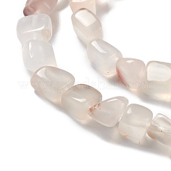 Natural Agate Beads Strands&nbsp;G-F745-01