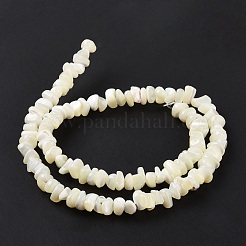 天然石シーシェルビーズ連売り  漂白  チップ  ホワイト  5~16x5~16x4.5~1~8mm  穴：0.5~0.7mm  約97~124個/連  15.35インチ〜15.94インチ（39cm〜40.5cm）&nbsp;SSHEL-S278-132