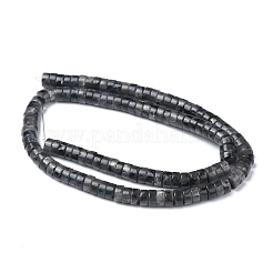 ナチュラルブラックラルビカイトビーズ連売り  ヒシビーズ  フラットラウンド/ディスク  6x3mm  穴：1mm  約108~121個/連  14.76~15.74インチ（37.5~40cm）&nbsp;G-Z006-C31