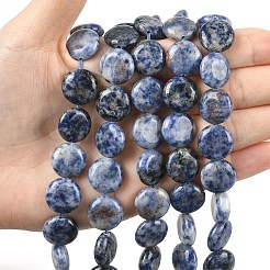 Natural Blue Spot Jasper Beads Strands&nbsp;G-L648-B08-15mm