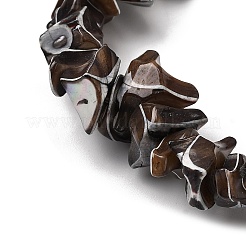 天然トロチッドシェル/トロカスシェルビーズ連売り  染め  ナゲット  ミックスカラー  5~22x7~15x3~8mm  穴：1.2mm  約65~70個/連  14.69~15.35''（37.3~39センチメートル）&nbsp;SHEL-B003-02