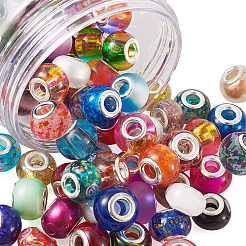 Handmade Lampwork European Large Hole Beads and Glass European Beads&nbsp;LPDL-TA0001-01S